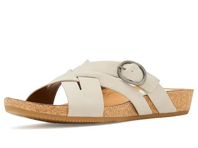 Eurosoft Grainger In Multi