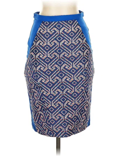 Pre-owned Eva Franco Casual Skirt In Blue