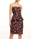 Eva Franco Elba Dress In Multi