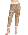 Eva Franco Fernanda Jogger In Wanderlust