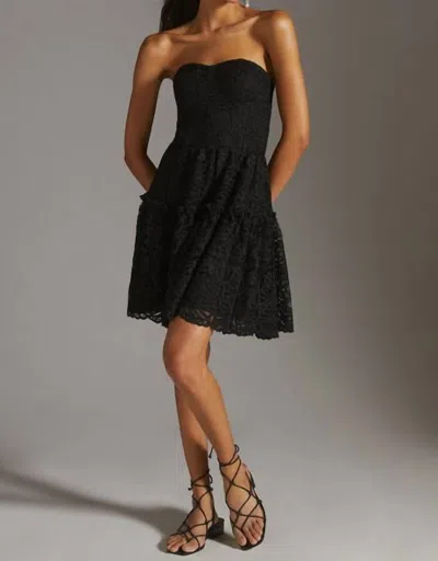 Eva Franco Floral Lace Dress In Black