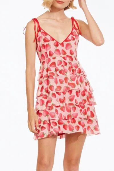 Eva Franco Rada Tiered Mesh Mini Dress In Strawberry Fields In Pink