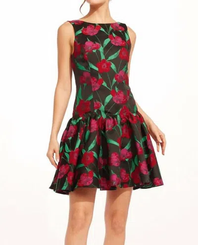 Eva Franco Roxy Dress In Roses & Thorns In Multi