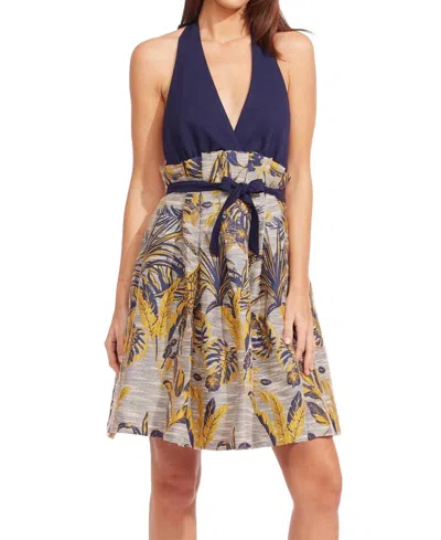 Eva Franco Sophia Dress In Serengeti In Multi