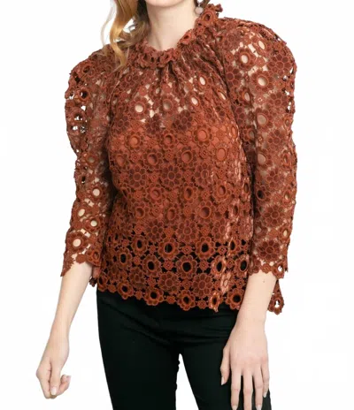 Eva Franco Watson Lace Blouse In Brown