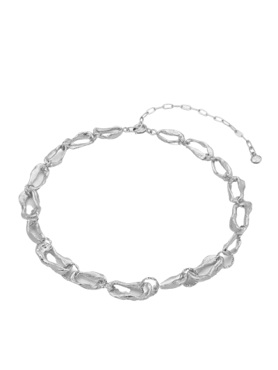 Eva Remenyi In Silver
