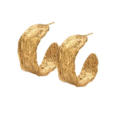 Eva Remenyi Archaic Chunky Hoop Earrings Gold
