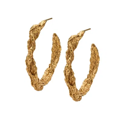 Eva Remenyi Archaic Hoop Earrings Gold