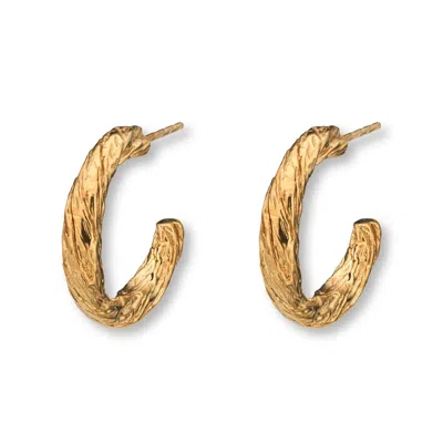 Eva Remenyi Archaic Small Hoop Earrings Gold