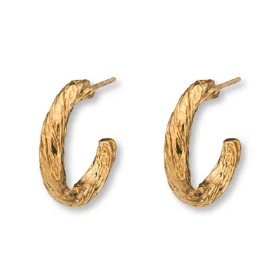 Eva Remenyi Women's Archaic Small Hoop Earrings Gold