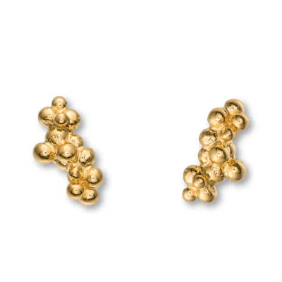 Eva Remenyi Women's Caviar Stud Earrings 14 Ct Gold
