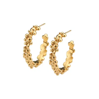 Eva Remenyi Women's Céleste Deux Hoop Earrings Gold