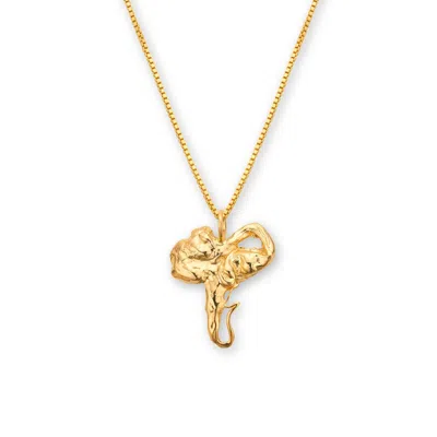Eva Remenyi Women's Euphoria Elephant Necklace Gold