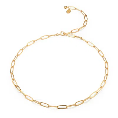 Eva Remenyi Women's Gold Nautilus Chain Necklace