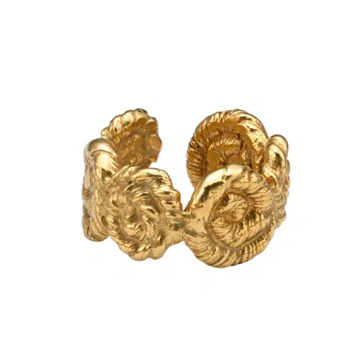 Eva Remenyi Nautilus Chunky Ring In Gold