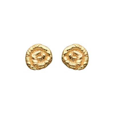 Eva Remenyi Women's Nautilus Earrings Gold
