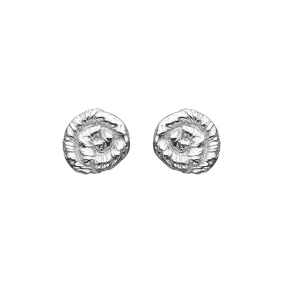 Eva Remenyi Nautilus Earrings In Silver