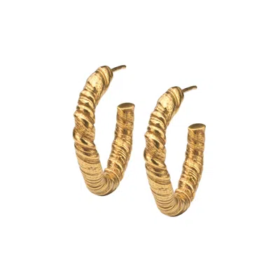 Eva Remenyi Women's Nautilus Hoop Earrings Gold