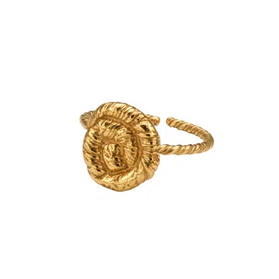 Eva Remenyi Nautilus Ring In Gold