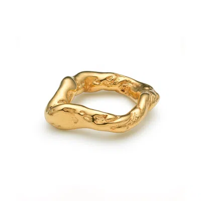 Eva Remenyi Talisman Flow Ring In Gold