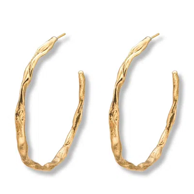 Eva Remenyi Women's Talisman Hoop Earrings Gold