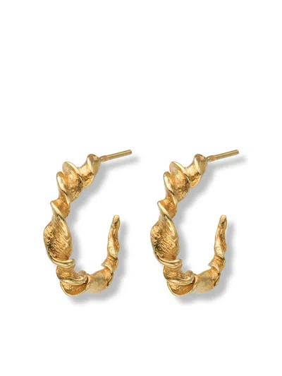 Eva Remenyi Women's Twisted Hoop Earrings 14k Gold