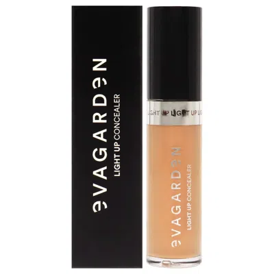 Evagarden Ladies Light Up Concealer 0.16 oz 346 Apricot Makeup 8023603113467 In Neutral