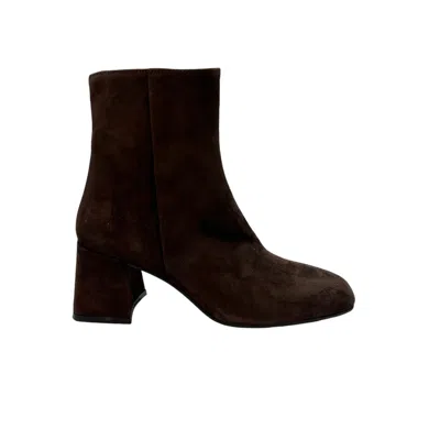 Evaluna - Amalia Marrone 6573 In Brown