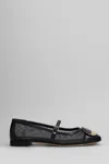 Evaluna Mesh Ballerina Shoes