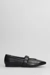 Evaluna Pointed-toe Ballet Flats In Black