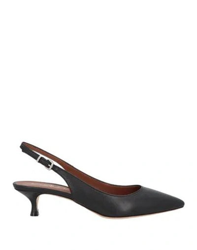 Evaluna Woman Pumps Black Size 8 Calfskin In Black