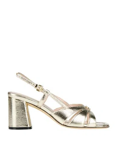 Evaluna Woman Sandals Platinum Size 7 Leather In Gray