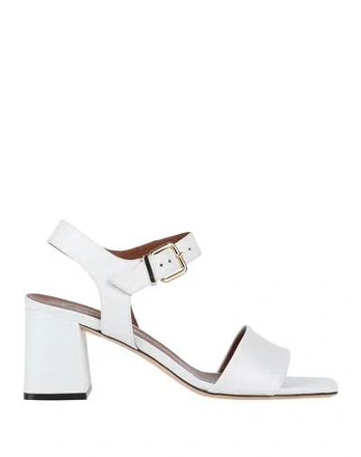Evaluna Woman Sandals White Size 6 Leather