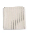 Evangeline Pinstripe Blankets In Blue