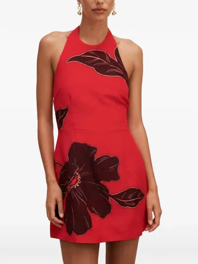 Ever New Floral-print Halterneck Mini Dress In Red