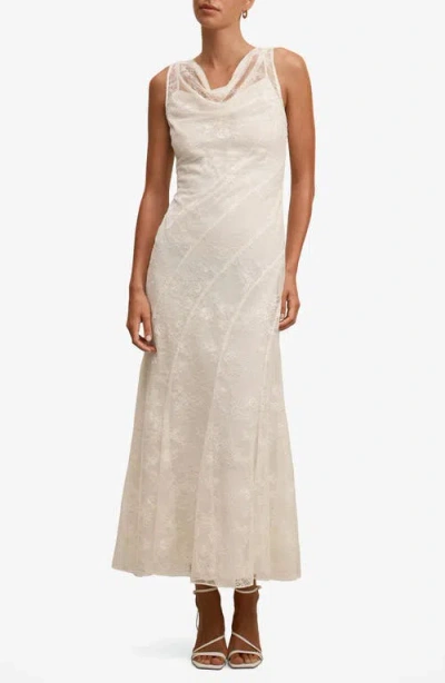 Ever New Jenna Paneled Lace Midi Dress In White