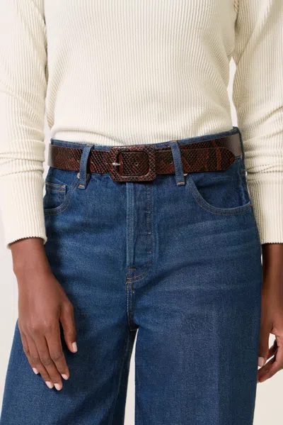 Evereve Gia Snake Belt In Multi