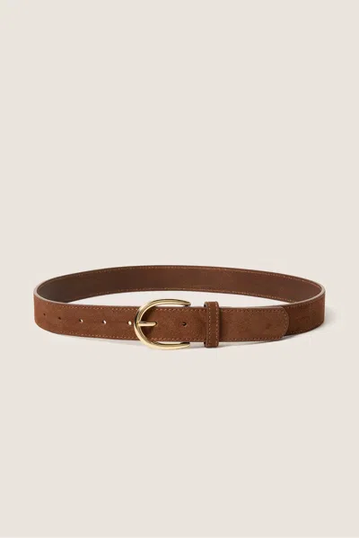 Evereve Lottie Suede Belt In Brown
