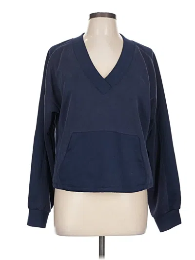 Pre-owned Evereve Pullover Sweater In Blue