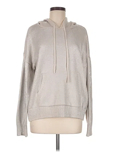 Pre-owned Evereve Pullover Sweater In Silver