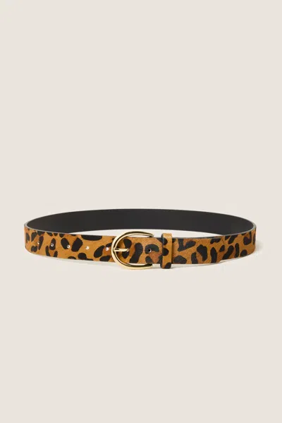 Evereve Trixie Leopard Belt In Brown