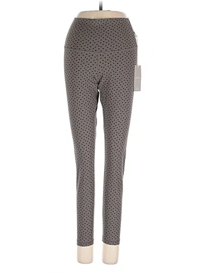 Everlane Active Pants In Gray