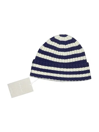 Everlane Beanie Hat In Blue