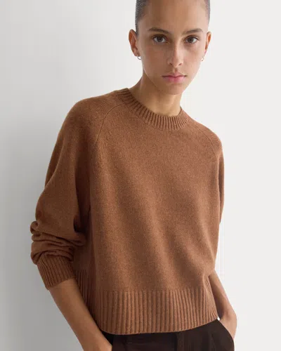 Everlane Boxy Crew Neck Sweater In Brown
