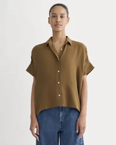 Everlane Boxy Shirt In Brown