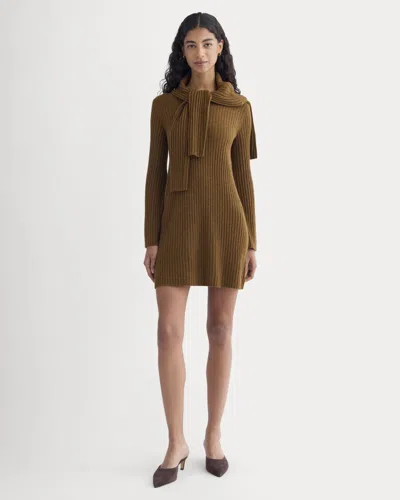 Everlane Cashmere Long-sleeve Mini Dress In Heathered Toffee In Brown