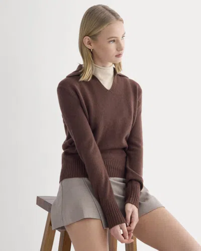 Everlane Cashmere Polo Sweater In Dark Mahogany In Brown
