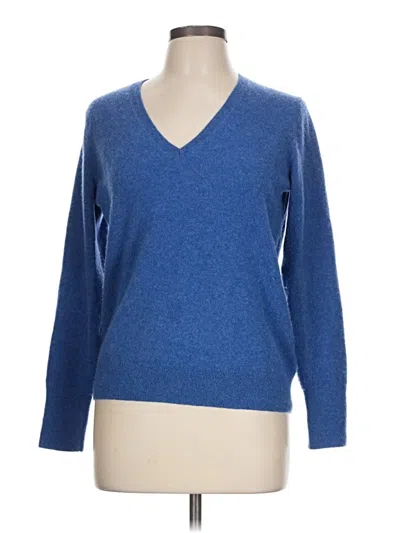 Pre-owned Everlane Cashmere Pullover Sweater In Blue