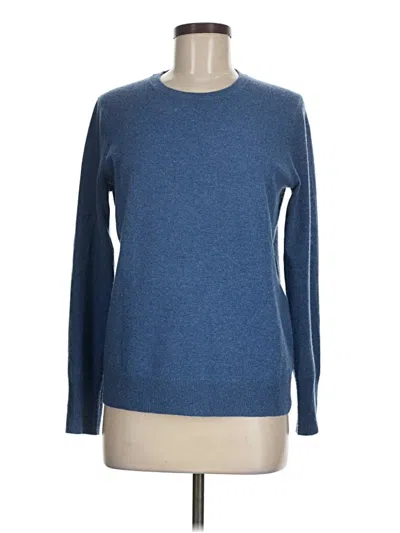 Pre-owned Everlane Cashmere Pullover Sweater In Blue