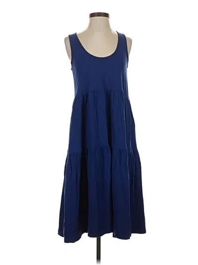 Pre-owned Everlane Casual Dress In Blue